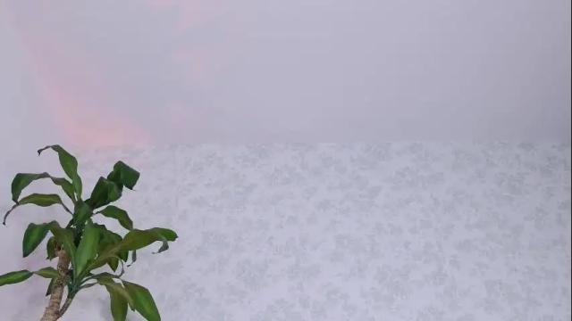 Image 6 of luneva Stream on Chaturbate on 1 month ago