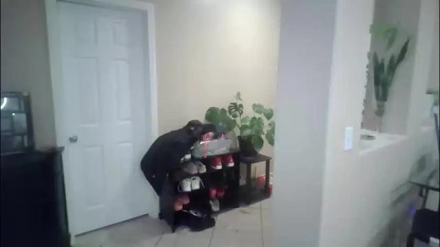 Image 11 of lusciouskoko Stream on Chaturbate on 2 months ago