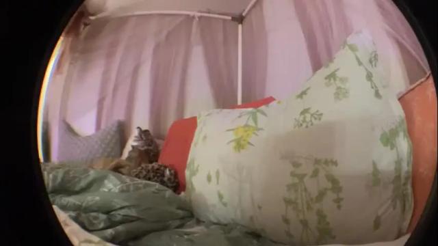 Image 8 of lustforlola Stream on Chaturbate on 9 days ago
