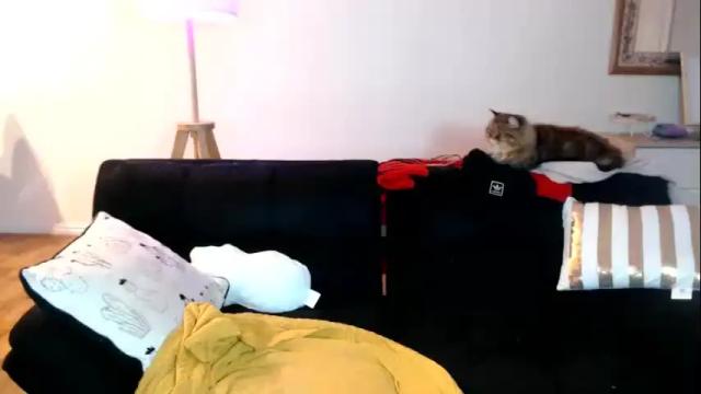 Image 11 of lustfulglance Stream on Chaturbate on 20 months ago