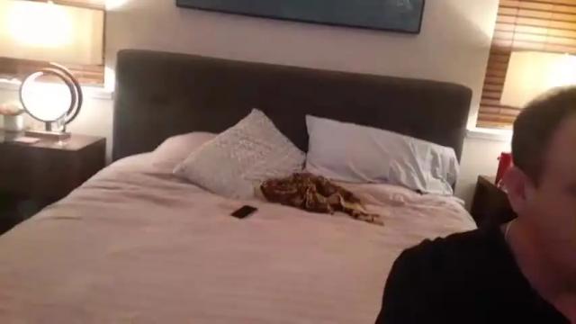 Image 2 of lvsxmira Stream on Chaturbate on 18 months ago