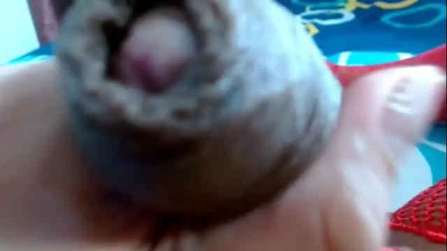 Image 11 of lya_mcconellts Stream on Chaturbate on 2 months ago