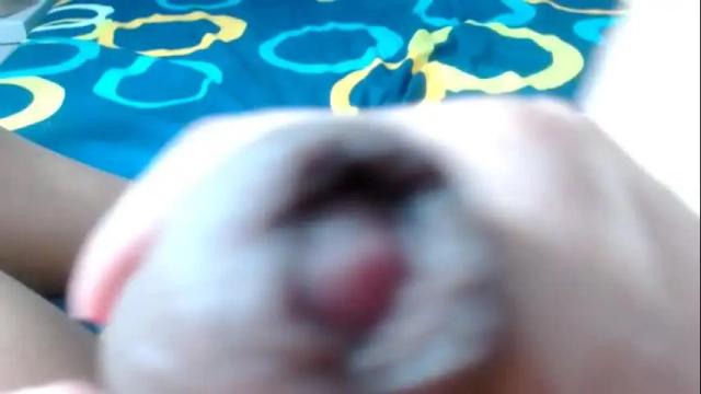 Thumbnail 1, lya_mcconellts's Stream at Chaturbate, 1 month ago