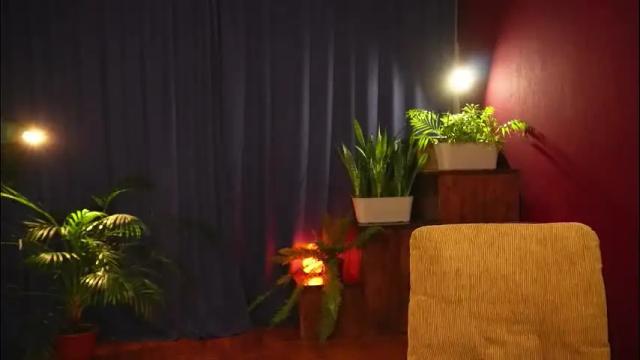 Image 11 of lynn_feline Stream on Chaturbate on 2 months ago