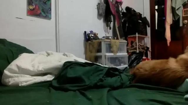 Image 2 of lynxbabe Stream on Chaturbate on 20 months ago