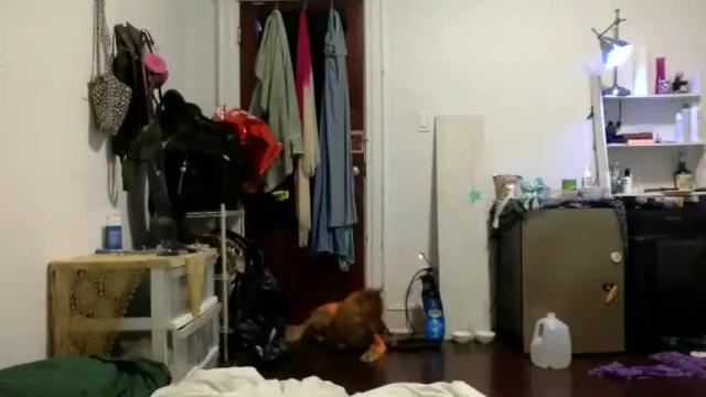 Thumbnail 1, lynxbabe's Stream at Chaturbate, 20 months ago