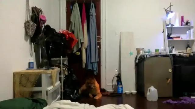 Image 4 of lynxbabe Stream on Chaturbate on 20 months ago