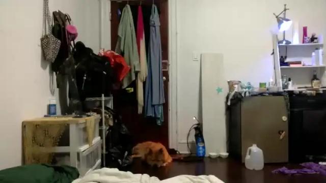 Thumbnail 2, lynxbabe's Stream at Chaturbate, 20 months ago