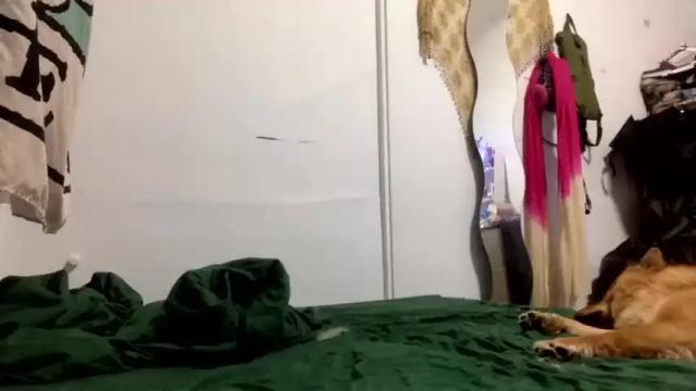 Image 11 of lynxbabe Stream on Chaturbate on 20 months ago