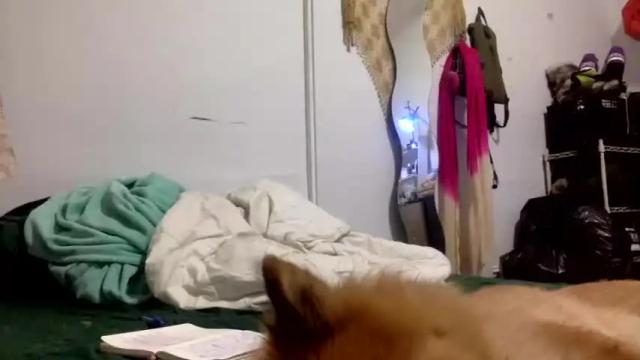 Image 10 of lynxbabe Stream on Chaturbate on 20 months ago