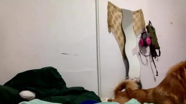 Image 2 of lynxbabe Stream on Chaturbate on 19 months ago