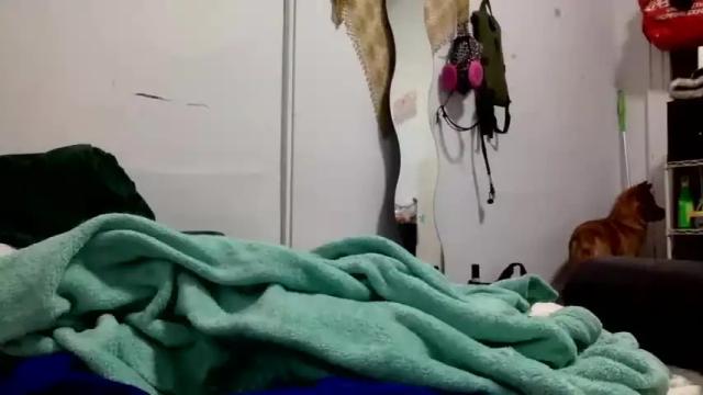 Image 8 of lynxbabe Stream on Chaturbate on 19 months ago