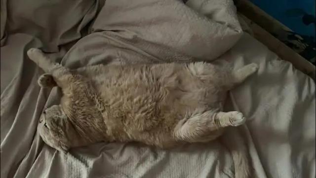 Image 10 of m_vikki Stream on Chaturbate on 2 months ago