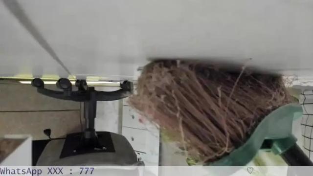 Image 12 of maartiinaa Stream on Chaturbate on 16 months ago