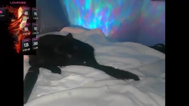 Image 3 of madi_babes Stream on Chaturbate on 1 month ago