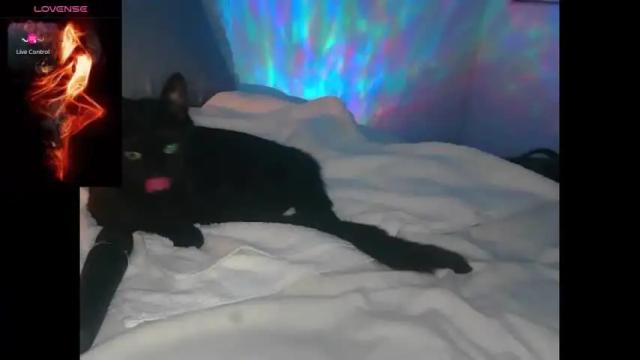 Image 4 of madi_babes Stream on Chaturbate on 1 month ago