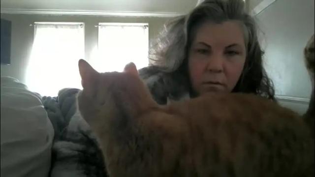 Image 3 of madisonfelicia Stream on Chaturbate on 1 month ago