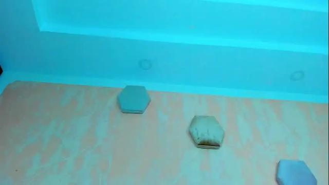 Thumbnail 2, madisson_foxx's Stream at Chaturbate, 1 month ago
