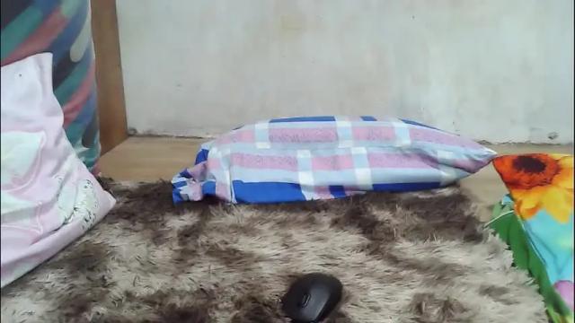 Image 3 of maegold69 Stream on Chaturbate on 10 days ago