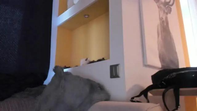 Image 7 of magic_couple13 Stream on Chaturbate on 1 month ago