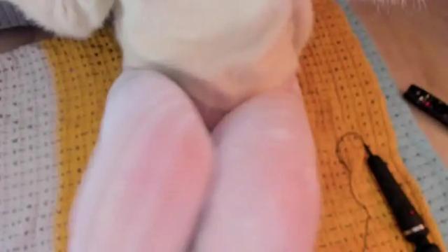 Image 3 of magic_couple13 Stream on Chaturbate on 19 days ago