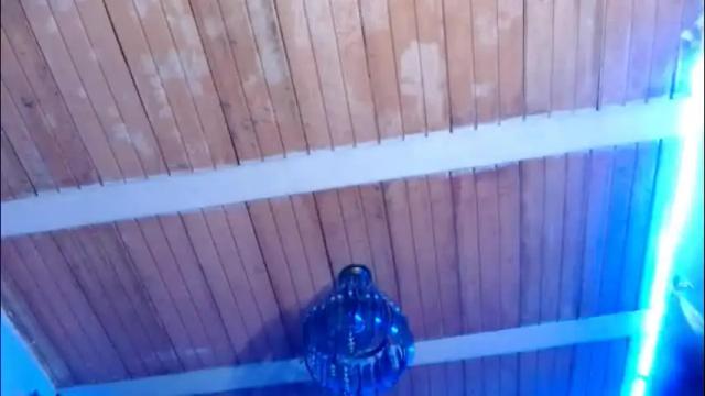 Image 2 of maidi_hot Stream on Chaturbate on 1 month ago