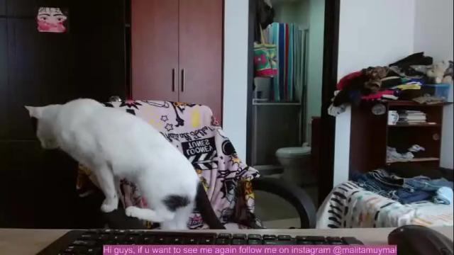Image 4 of malitamuymal22 Stream on Chaturbate on 24 days ago