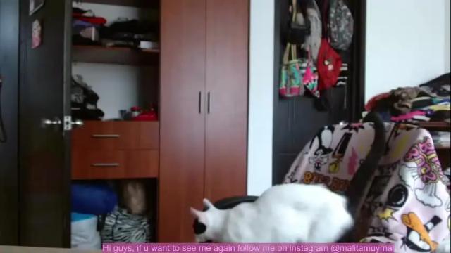 Image 8 of malitamuymal22 Stream on Chaturbate on 24 days ago