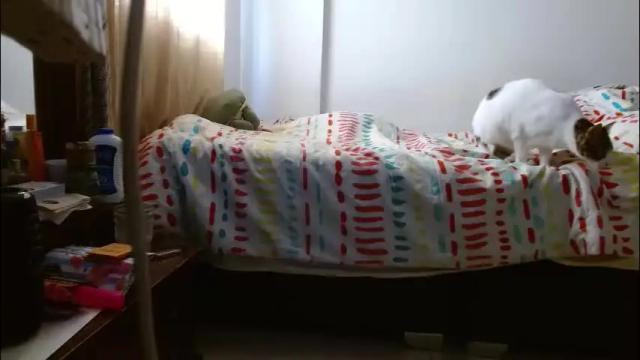 Image 8 of malitamuymal22 Stream on Chaturbate on 1 month ago