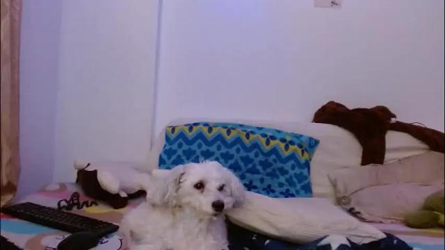 Thumbnail 3, malitamuymal22's Stream at Chaturbate, 1 month ago