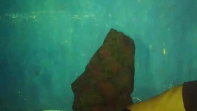 Image 6 of mamantica Stream on Chaturbate on 13 months ago