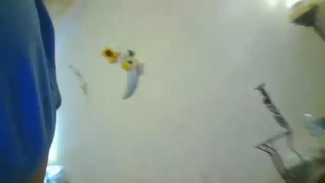 Image 3 of mandilube39 Stream on Chaturbate on 1 month ago