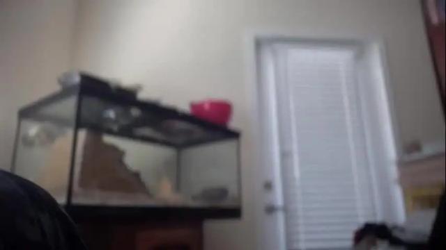 Image 7 of mandy_dancer18 Stream on Chaturbate on 5 months ago