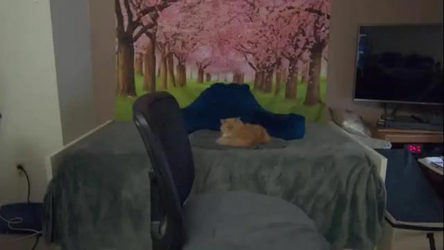 Image 7 of mandy_rose1 Stream on Chaturbate on 22 days ago