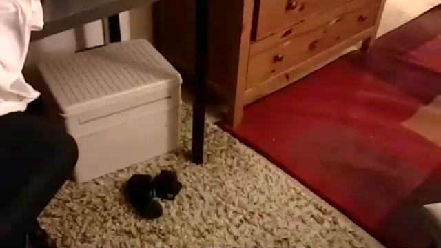 Image 11 of mandygurlts Stream on Chaturbate on 8 days ago