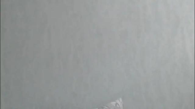 Image 7 of margo_shine Stream on Chaturbate on 1 month ago