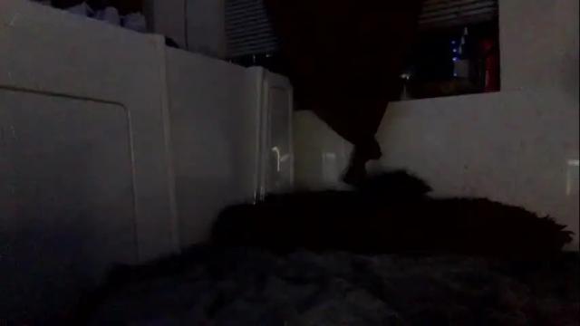 Image 8 of mariahjsav95 Stream on Chaturbate on 6 months ago