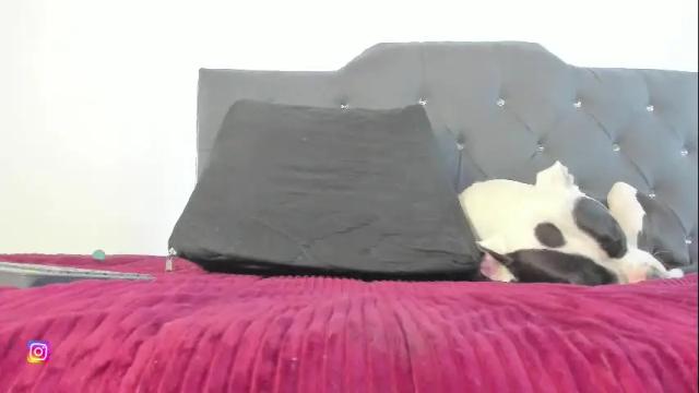 Image 3 of mariana_preciado Stream on Chaturbate on 8 days ago