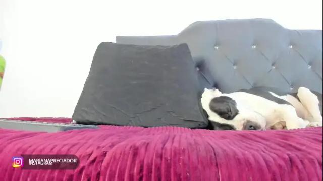 Thumbnail 3, mariana_preciado's Stream at Chaturbate, 8 days ago