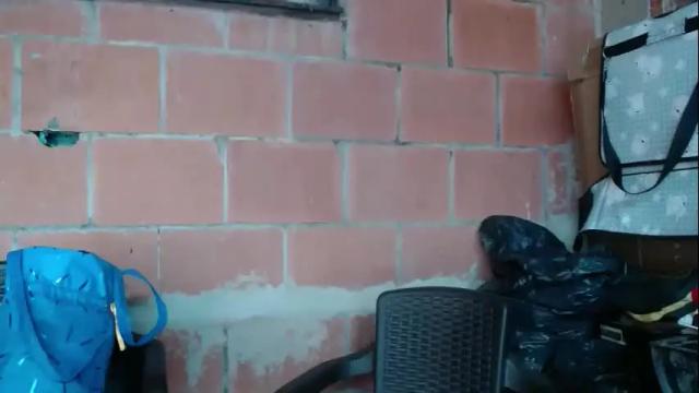 Thumbnail 2, marie__brown's Stream at Chaturbate, 7 months ago