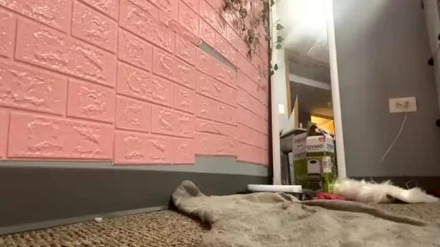 Image 8 of mariexxx22 Stream on Chaturbate on 17 months ago