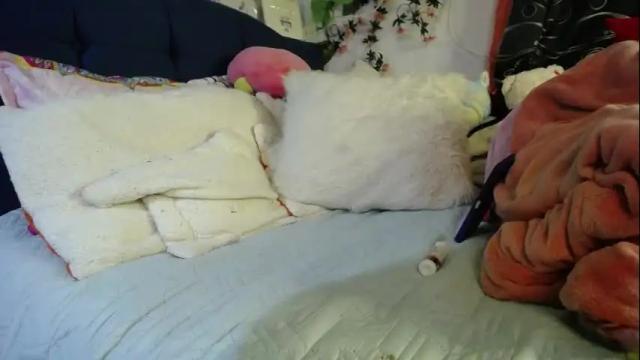 Thumbnail 3, maritza_ferrerr's Stream at Chaturbate, 16 days ago