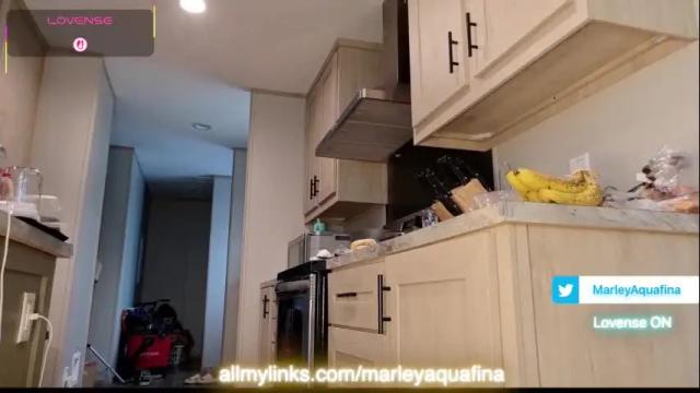 Thumbnail 2, marleymadness9's Stream at Chaturbate, 1 month ago