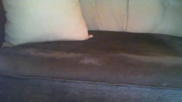 Image 7 of marriedcouple9 Stream on Chaturbate on 18 months ago