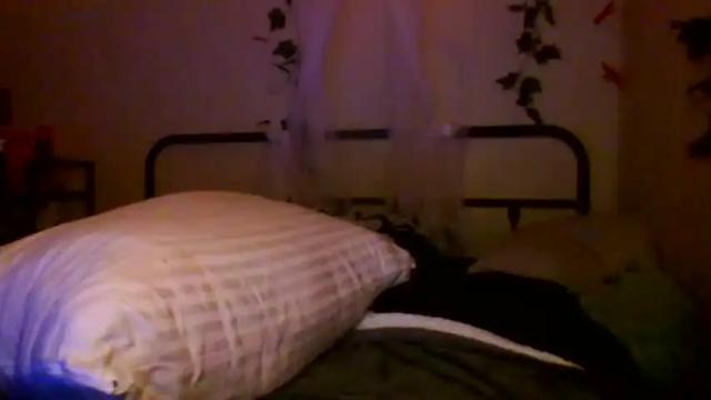 Image 4 of marshallmarx517 Stream on Chaturbate on 17 months ago