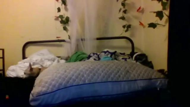 Image 7 of marshallmarx517 Stream on Chaturbate on 14 months ago