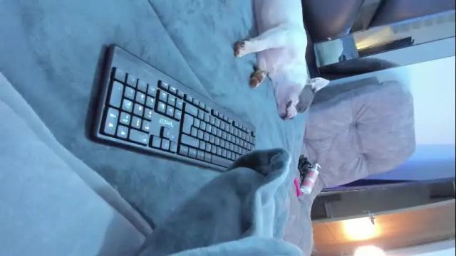 Thumbnail 3, marstone_'s Stream at Chaturbate, 1 month ago