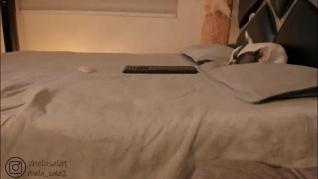 Thumbnail 2, marstone_'s Stream at Chaturbate, 1 month ago