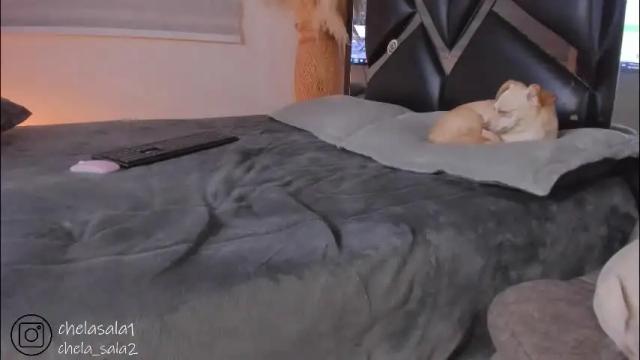 Thumbnail 1, marstone_'s Stream at Chaturbate, 1 month ago