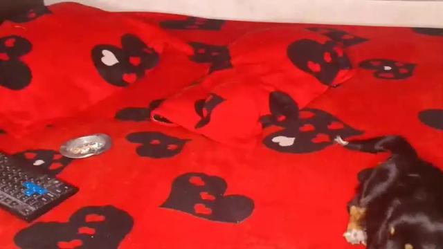 Image 10 of maskgirlx Stream on Chaturbate on 23 months ago